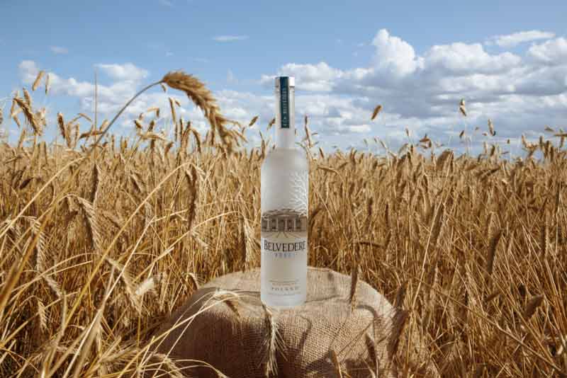 najbolja vodka