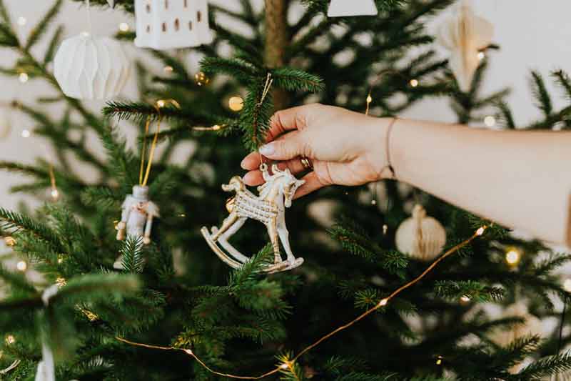 gde kupiti novogodisnju jelku