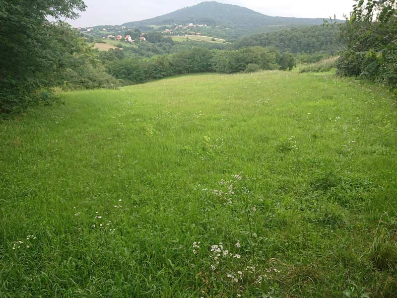 gde ici blizu beograda