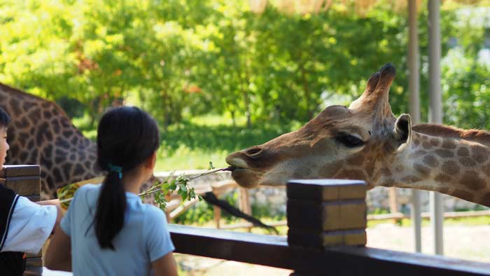 beo zoo vrt besplatan ulaz