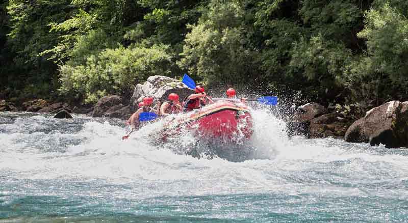 Avgust i rafting na Tari