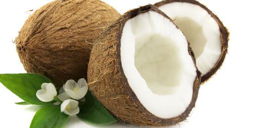 Gde raste kokosov orah?