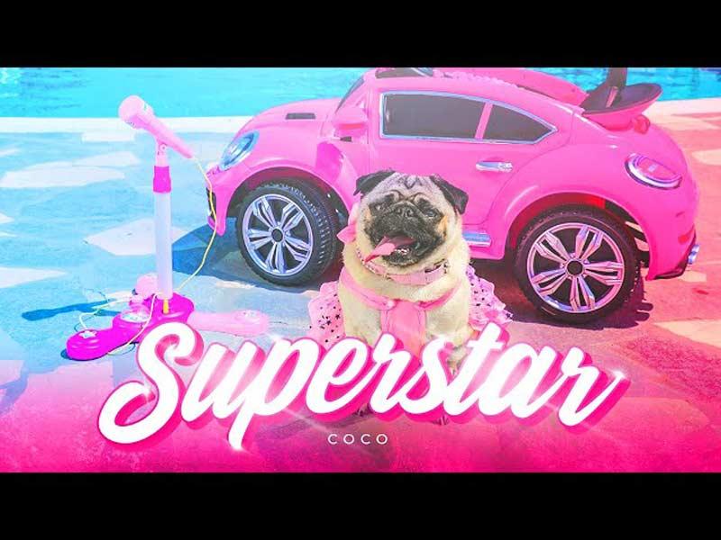 Coco - Superstar