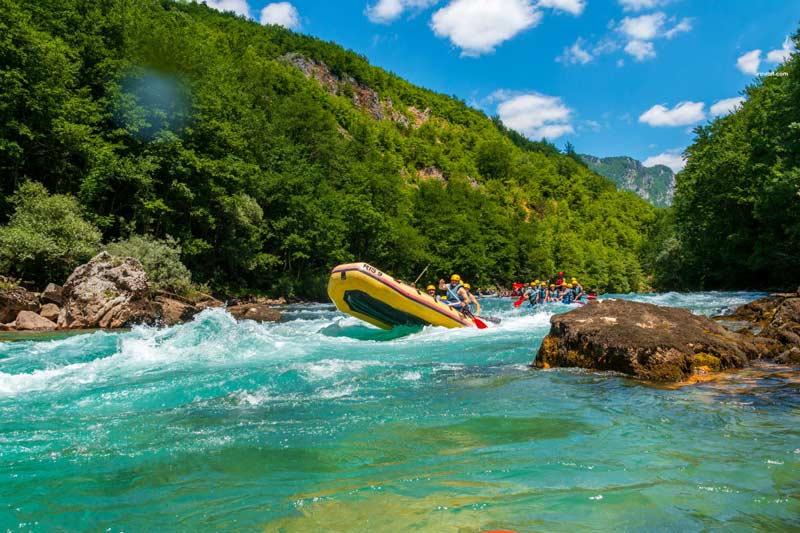 Čari raftinga na Tari