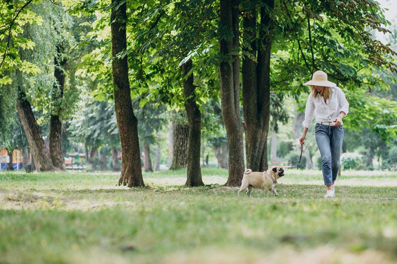 Kako se piše Vrnjačka banja?