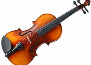 Koliko violina ima zica