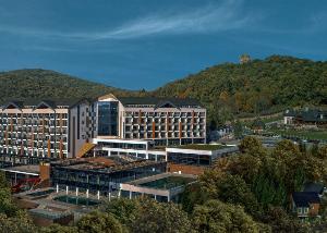 Fruške terme