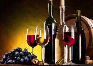 Najbolja domaca vina u Srbiji