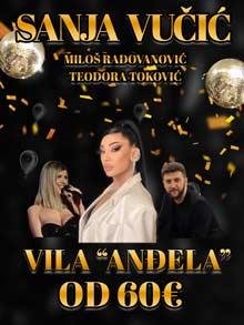 Vila Anđela Nova godina