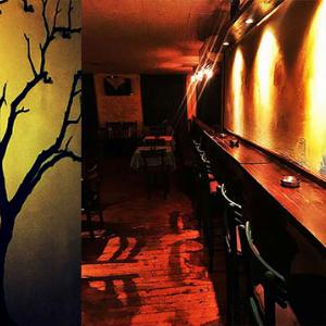 kafana proba beograd