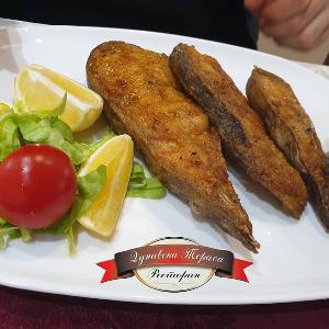 Dunavska terasa, restoran Dunavska terasa, Dunavska terasa Višnjica