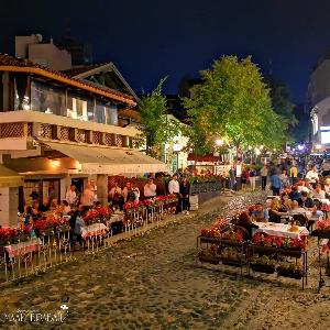 Mali vrabac Belgrade