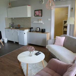 Vila Danube Lux rent