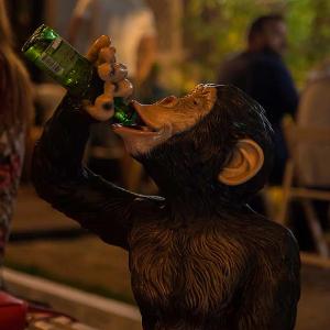 Monkey bar Beograd