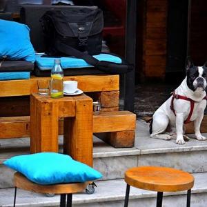 Cafeteria Lokal Belgrade