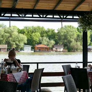 Restaurant Stari pingvin