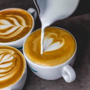 Java Coffee Roastery Beograd 