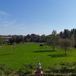 The Jockey Club Surčin