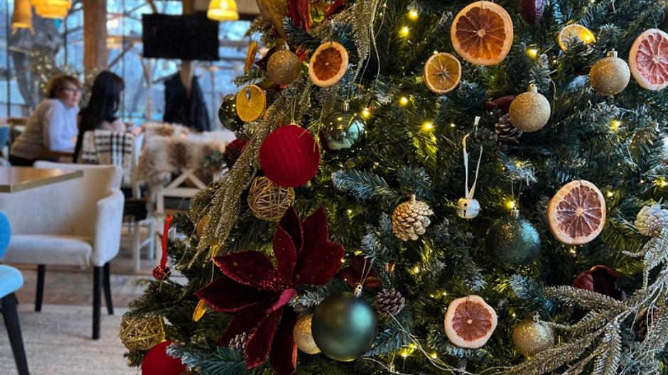 restoran savasava nova godina