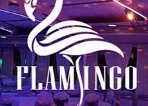 Brod Restoran Flamingo Nova godina