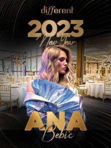  Different Event Hall Nova godina Kuda Veceras